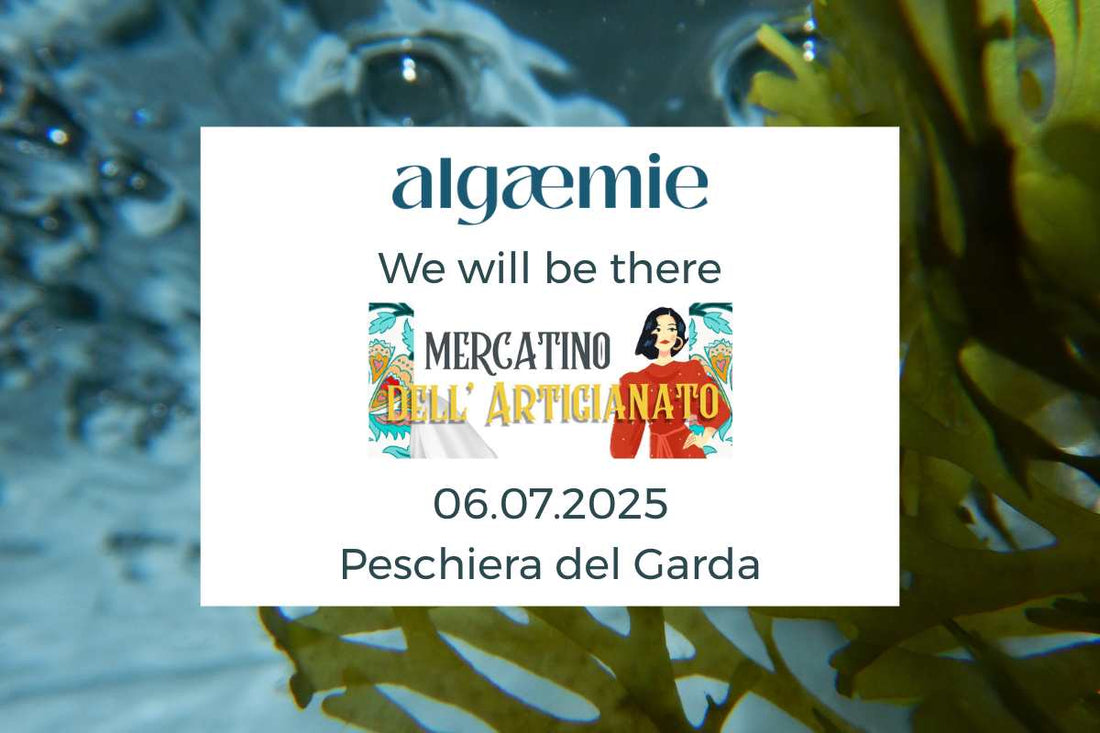 algaemie at the Peschiera Craft Fair