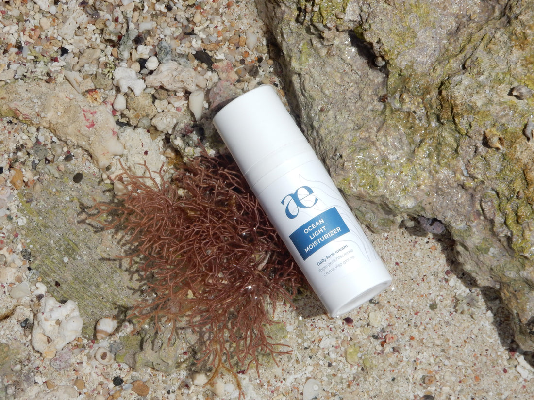 Marine plants actives