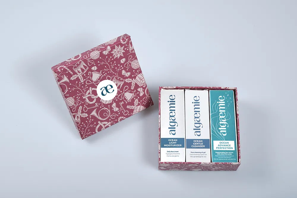 Ocean Daily Balance Box